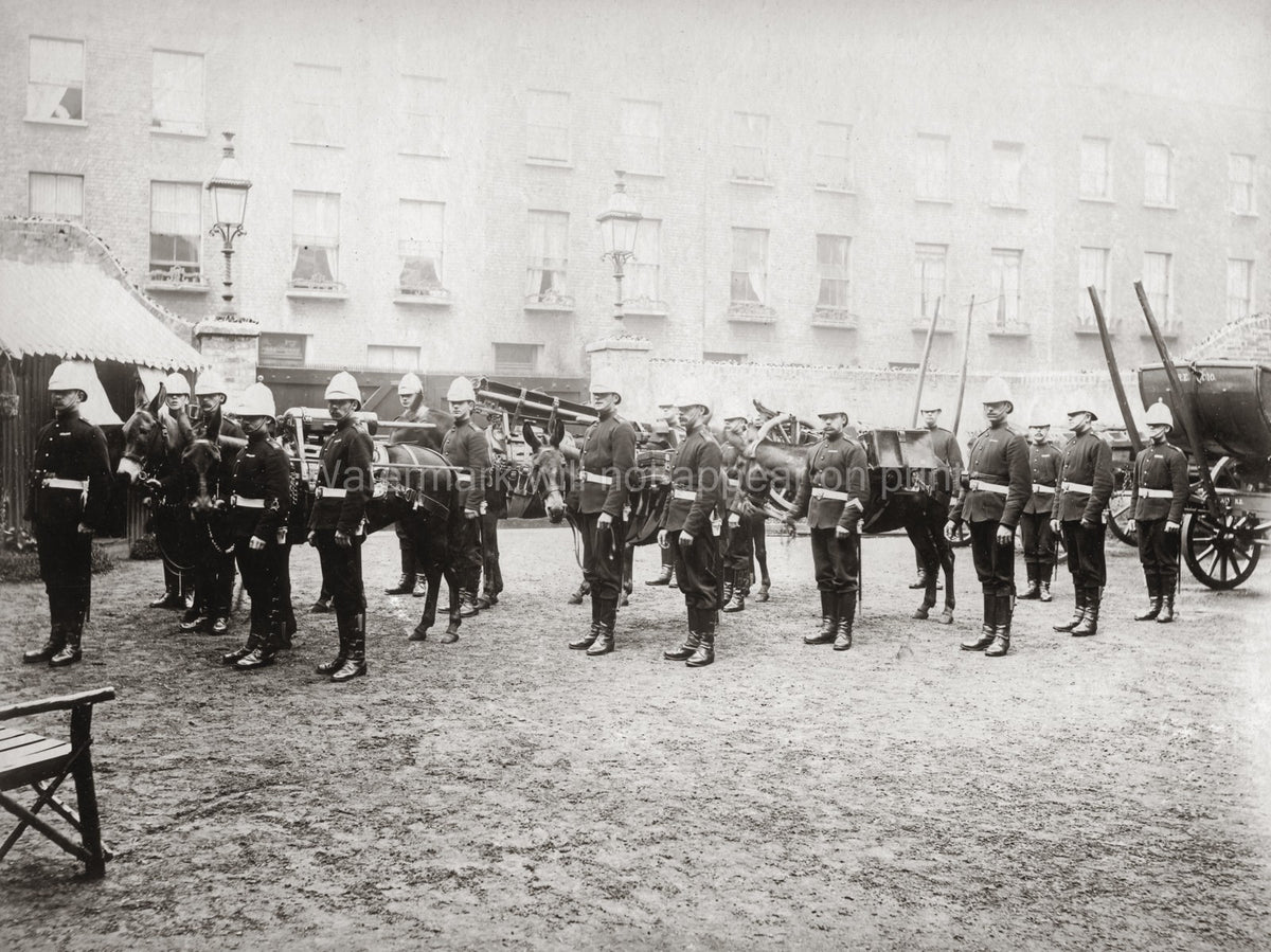 British Army Royal Artillery Mountain Battery Soldiers Mules Vtg. Photo 19thC.