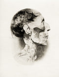 Egyptian Pharaoh Ramses II Mummified Head Ancient Relic Vtg. Photo 19thC.