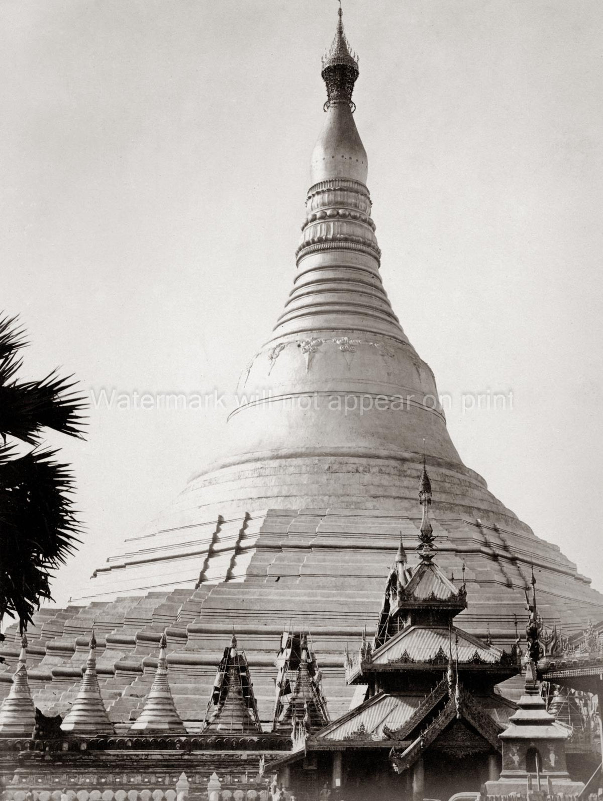 Burma Shwedagon Pagoda Buddhist Temple Stupa Architecture Vtg. Photo 19thC.