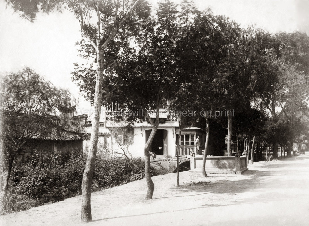 Shanghai China Bubbling Roadside Trees Architecture Vtg. Photo 19thC.