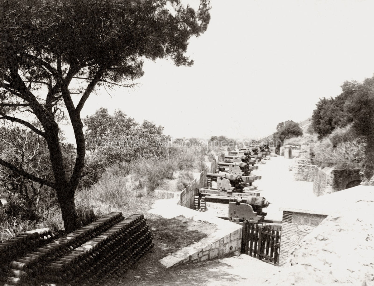 Gibraltar Artillery Battery Cannons Coastal Defense Military Vtg. Photo 19thC.