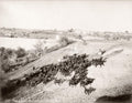 Jericho Palestine Holy Land Goats Herd Shepherds Landscape Vtg. Photo 19thC.