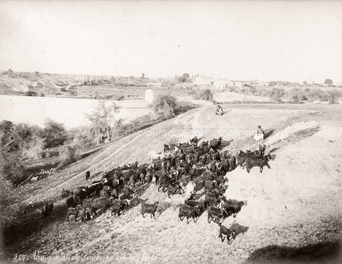Jericho Palestine Holy Land Goats Herd Shepherds Landscape Vtg. Photo 19thC.
