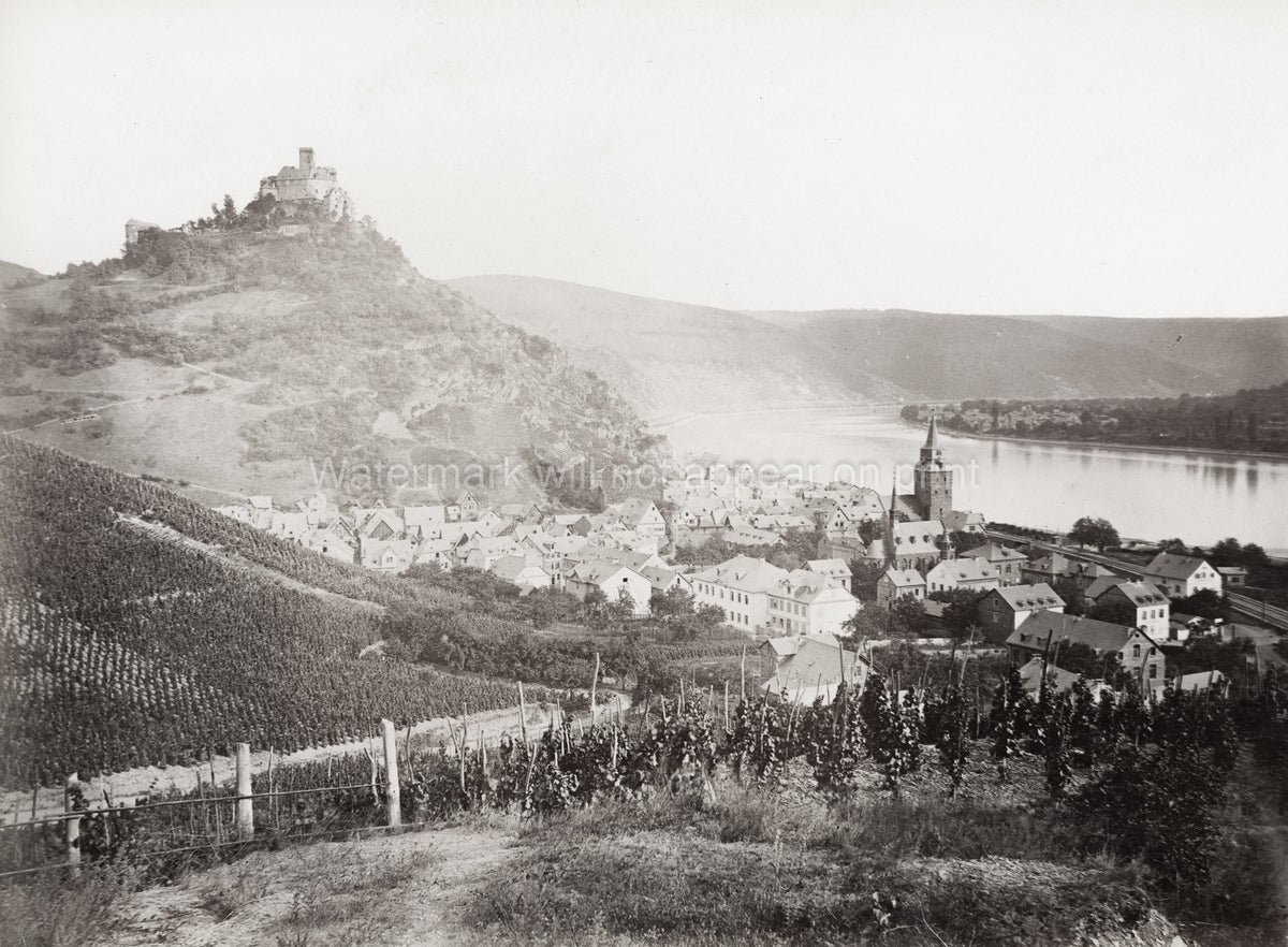 Germany River Rhine Schnburg Castle Oberwesel Vineyards Vtg. Photo 19thC.