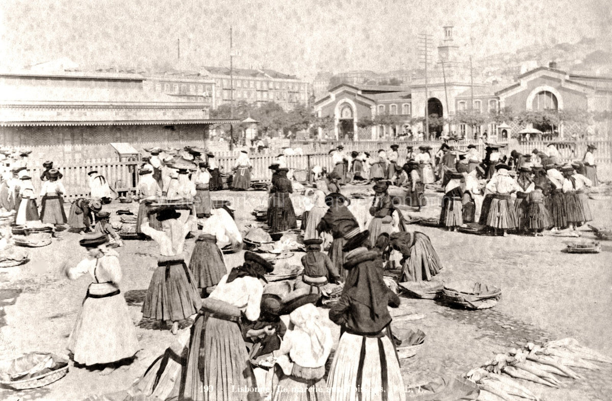 Lisbon Portugal Fish Market Women Vendors Baskets Outdoor Vtg. Photo 19thC.