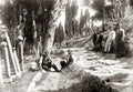 Eyup Cemetery Constantinople Men Gravestones Cypress Trees Vtg. Photo 19thC.