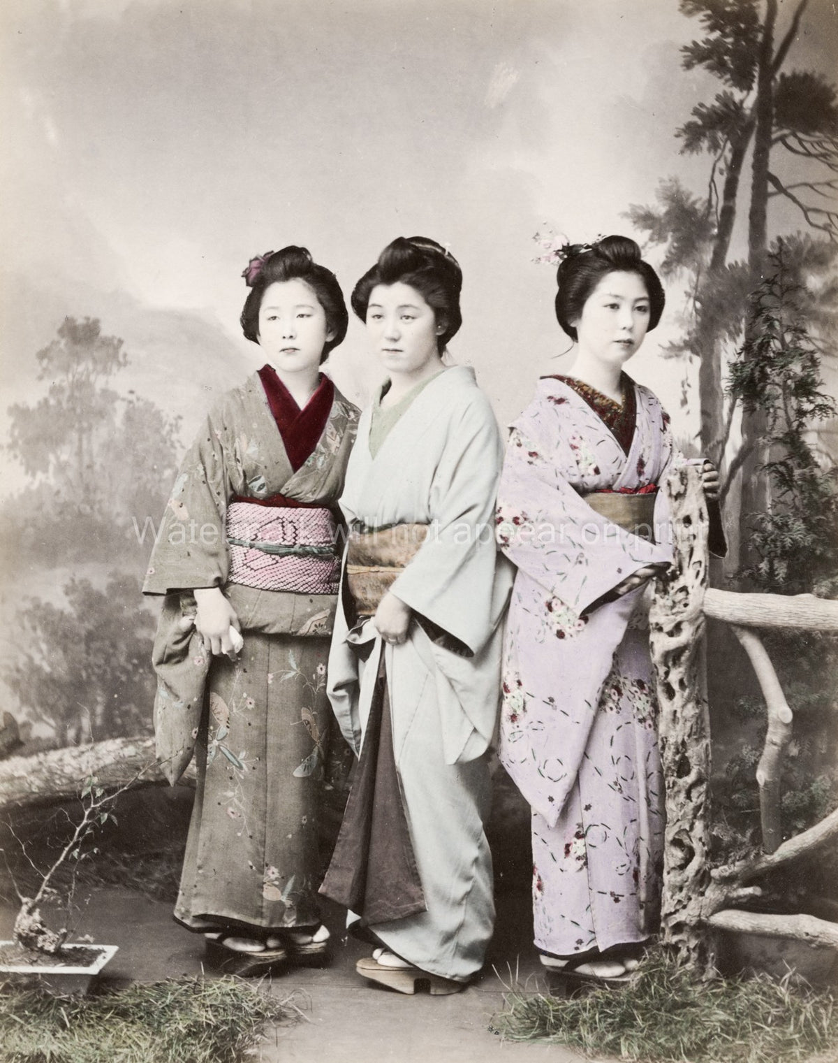 3 Young Japanese Women Kimono Traditional Dress Studio Vtg. Photo 19thC.
