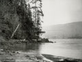 Lighthouse Narrows Stanley Park Vancouver Coastline Forest Vtg. Photo 19thC.