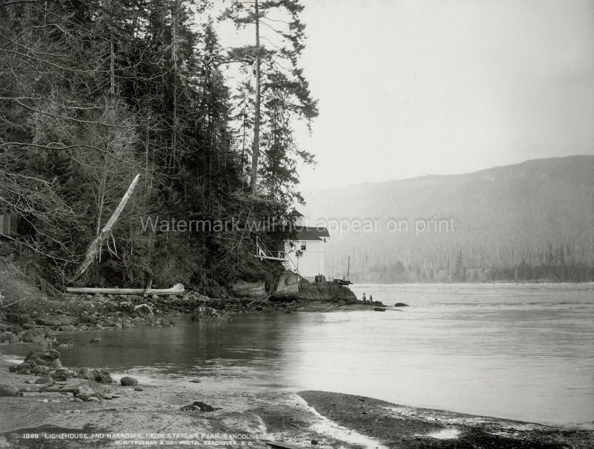 Lighthouse Narrows Stanley Park Vancouver Coastline Forest Vtg. Photo 19thC.