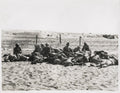 Gaza WW1 Prisoners Soldiers Attack Desert Barbed Wire Vtg. Photo