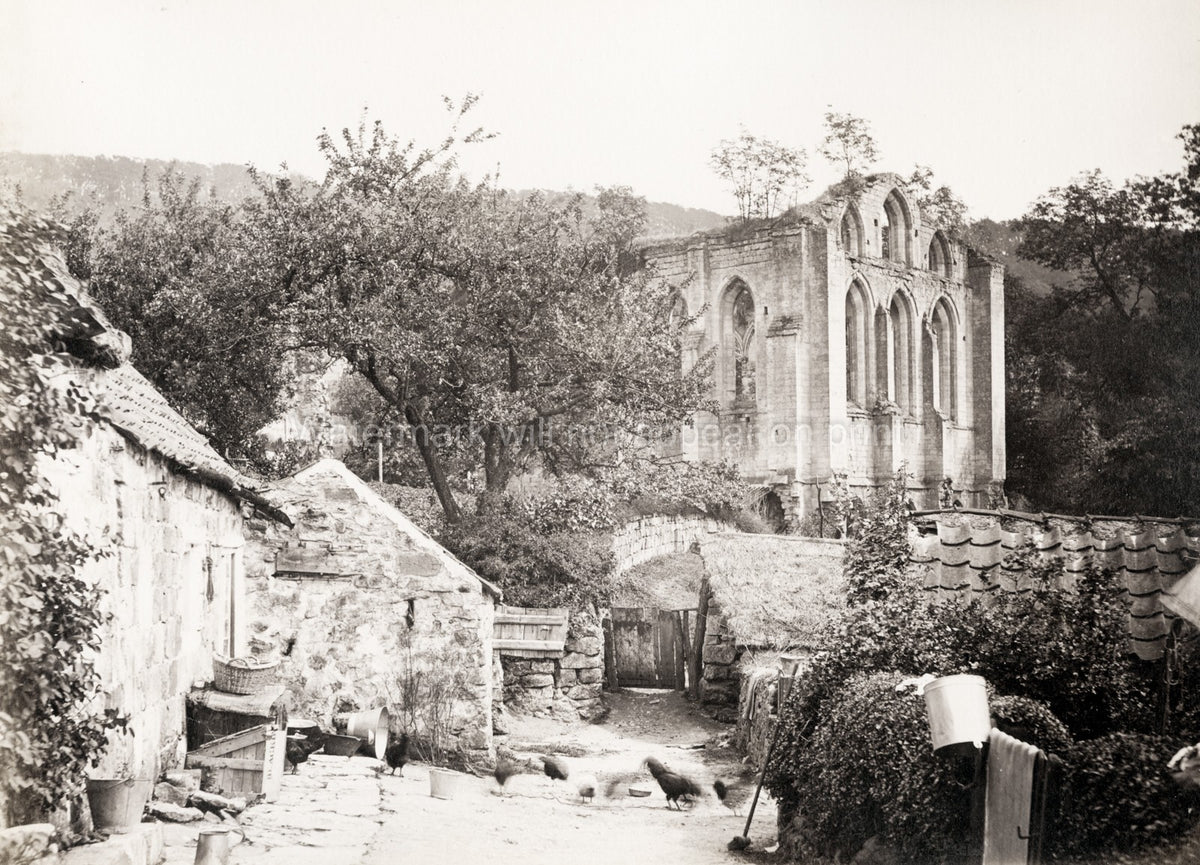 Ruins Rievaulx Abbey Yorkshire Farmstead Chickens Rural Vtg. Photo 19thC.