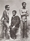 Pacific Islands Marquesas  Men Traditional Tattoos Portrait Vtg. Photo 19thC.