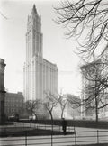 New York City Hall Park Woolworth Building Skyscraper Vtg. Photo 20thC.
