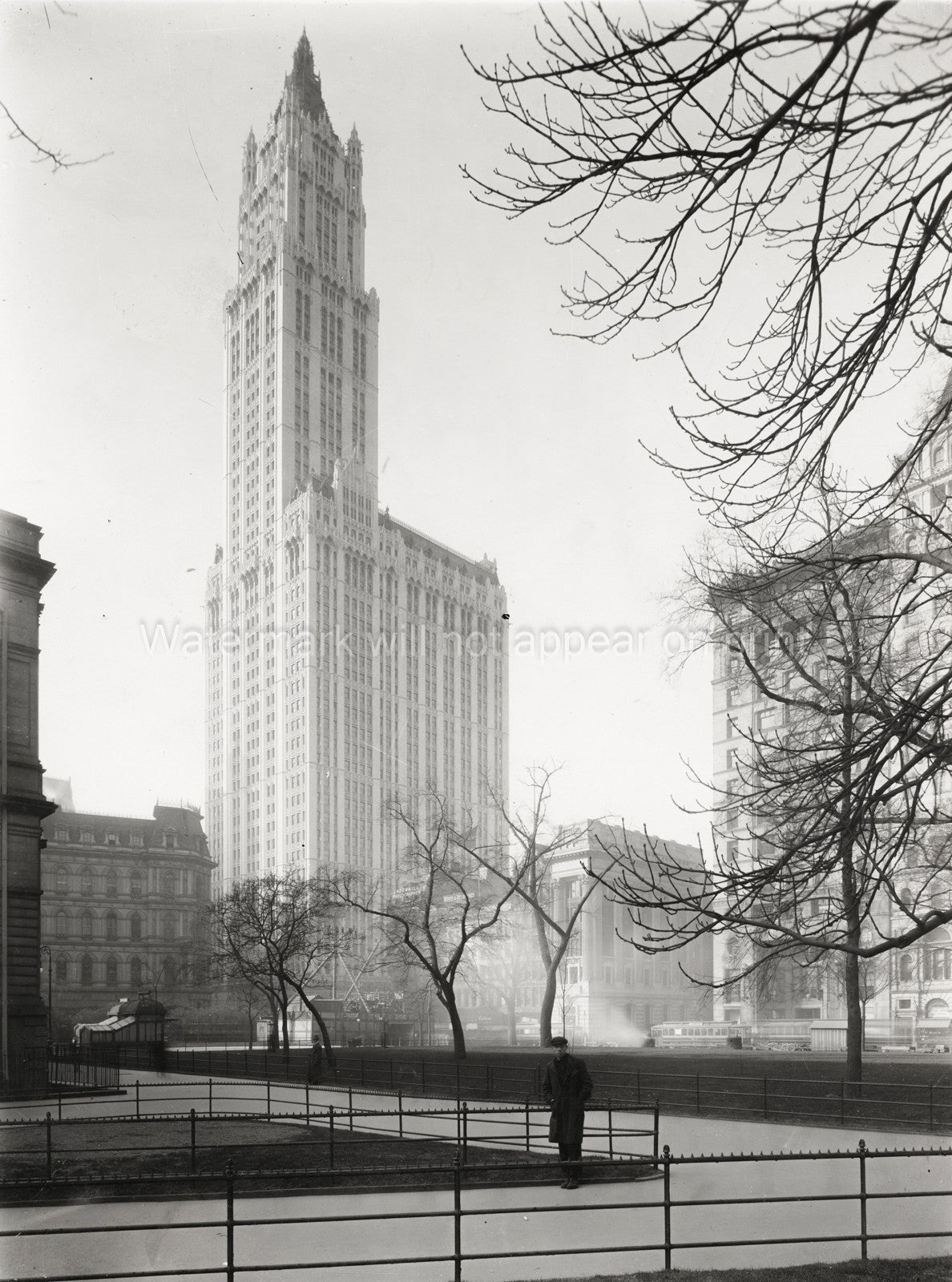 New York City Hall Park Woolworth Building Skyscraper Vtg. Photo 20thC.
