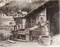 Japanese Farmer Grinding Pounding Rice Treadmill Machine Rural Vtg. Photo 19thC.