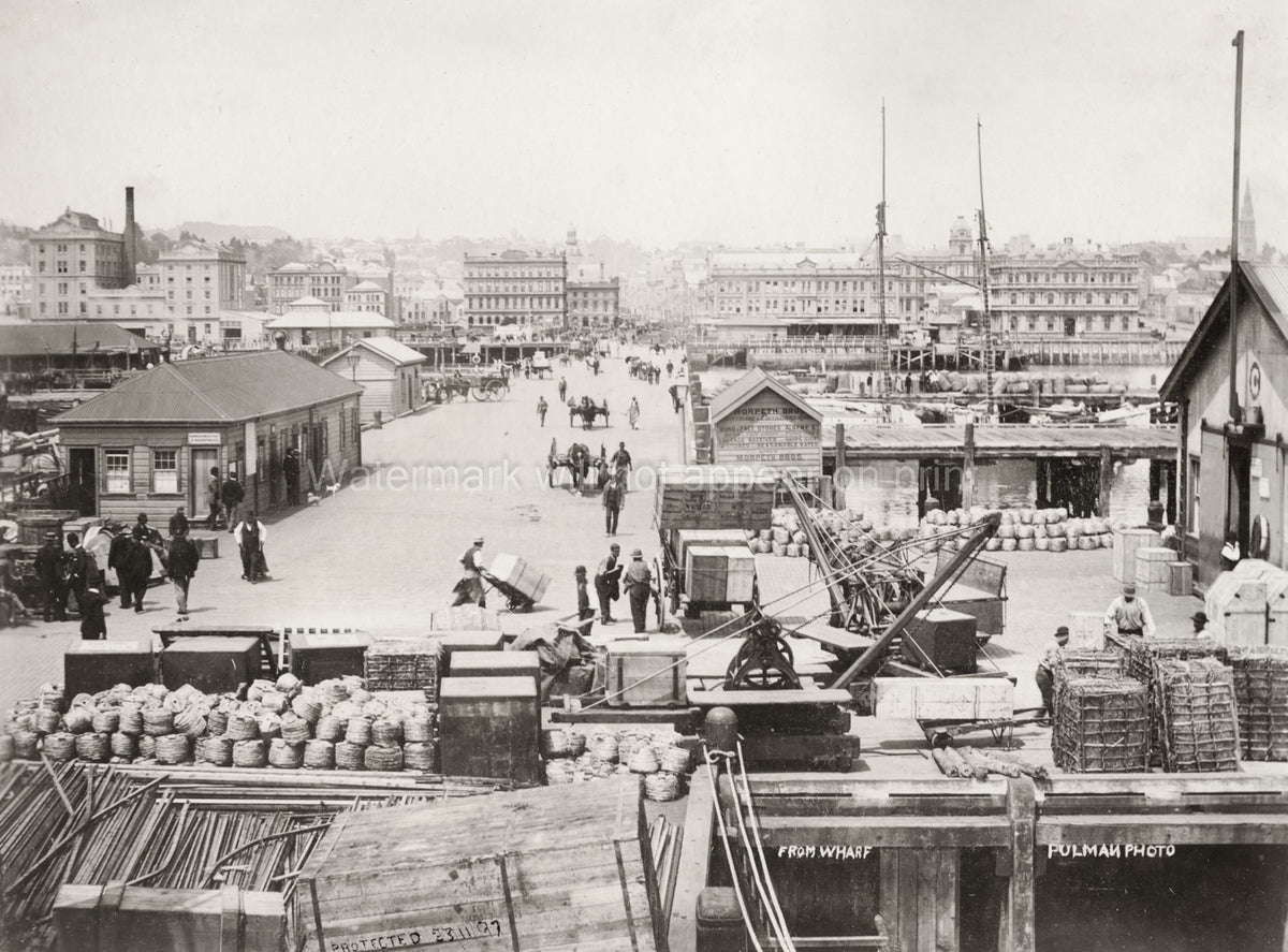 Auckland New Zealand Harbour Docks Waterfront Cityscape Vtg. Photo 19thC.