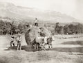 Aix-les-Bains France Farmers Hay Wagon Oxen Rural Scene Vtg. Photo 19thC.