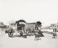 Imperial Palace Ornate Japanese Carriages Gosho-guruma Carts Vtg. Photo 19thC.