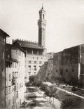 Siena Italy Torre del Mangia Bell Tower Gothic Architecture Vtg. Photo 19thC.