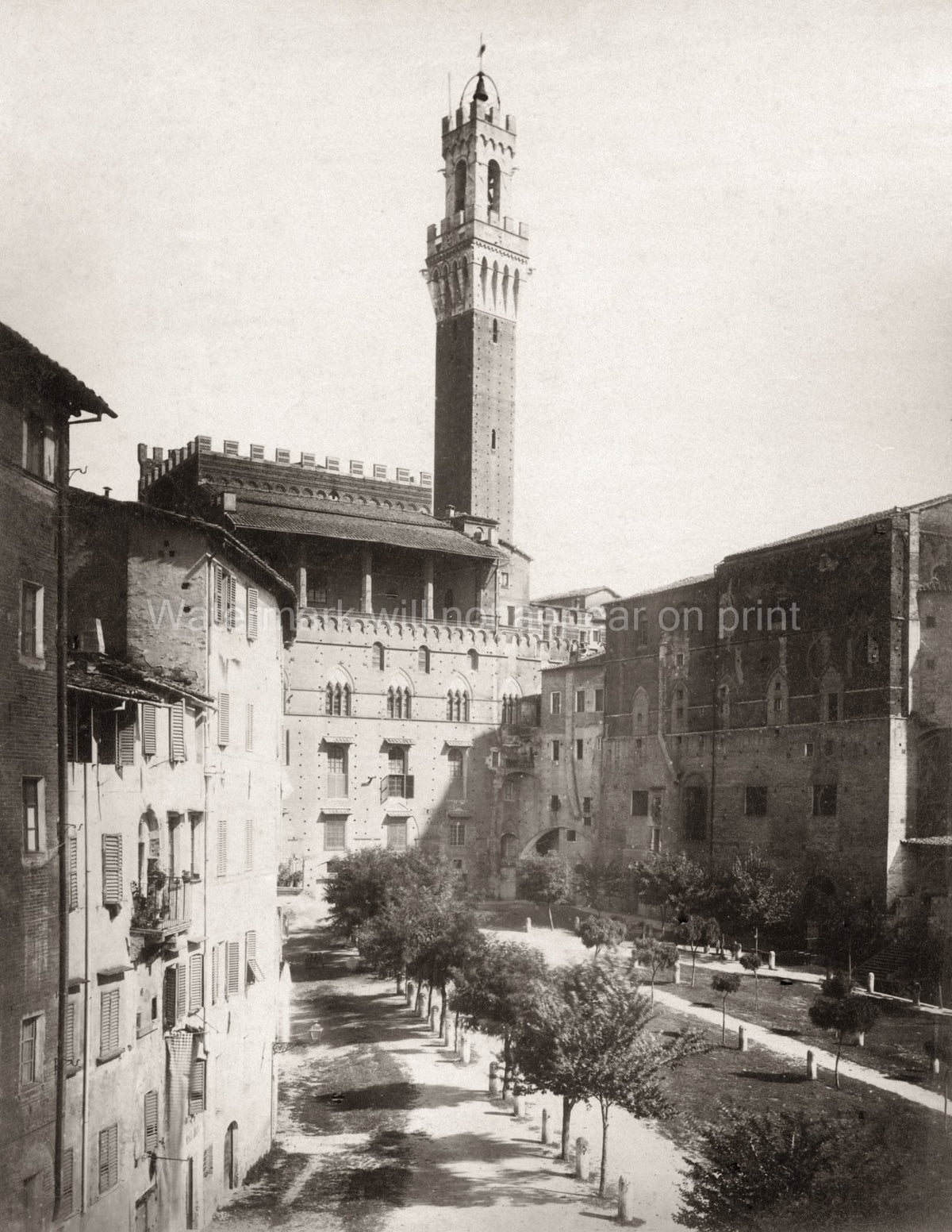Siena Italy Torre del Mangia Bell Tower Gothic Architecture Vtg. Photo 19thC.