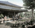 Tokyo Tea House Garden Family on Porch Bonsai Trees Vtg. Photo 19thC.