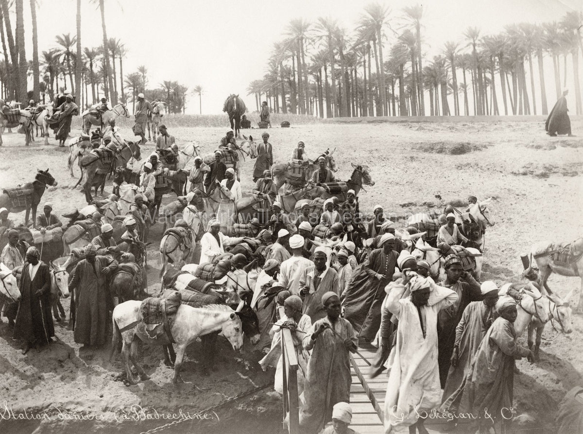 Egypt River Nile Ferry Embarkation Point Caravan Donkeys Vtg. Photo 19thC.
