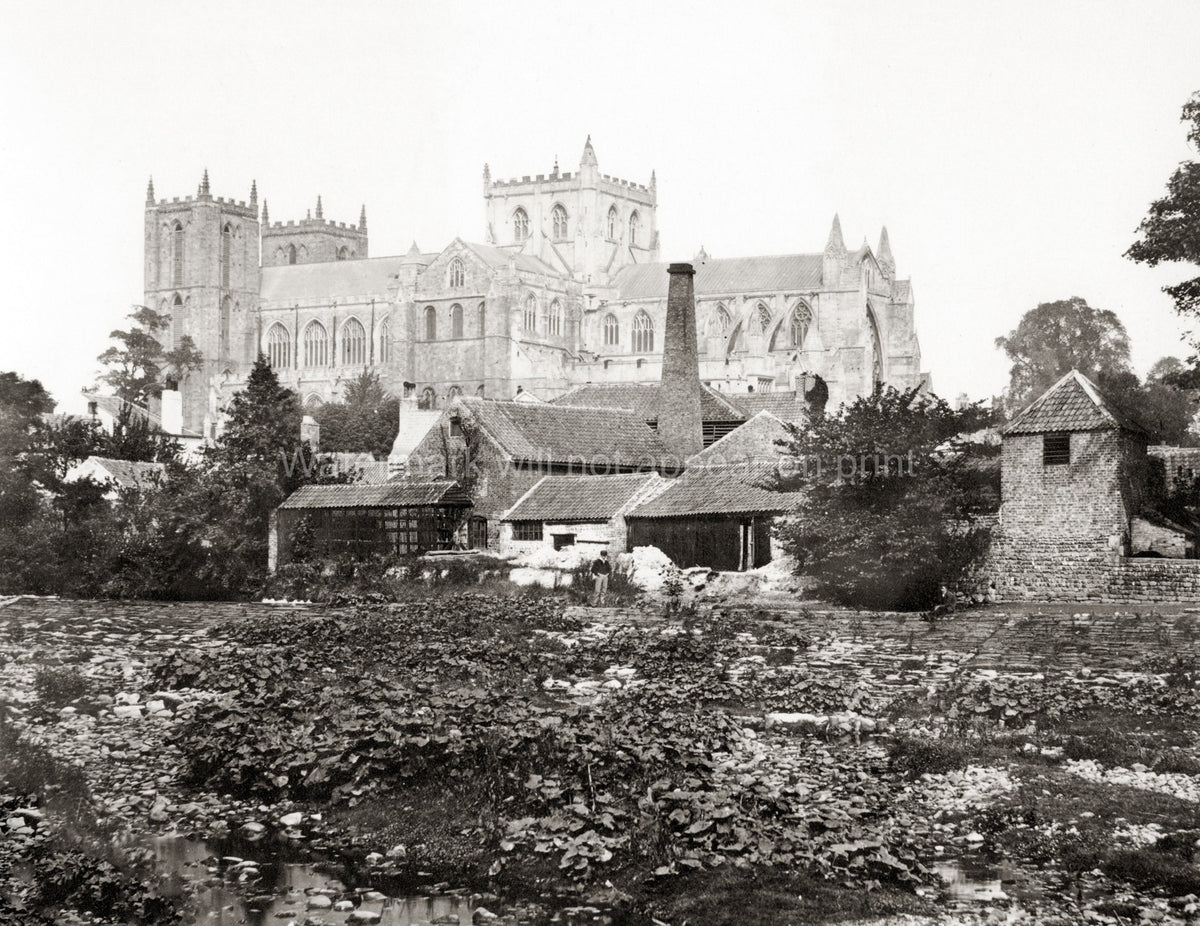 Ripon Cathedral Yorkshire England River Skell Town View Vtg. Photo 19thC.