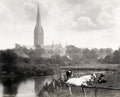 Salisbury Cathedral England River Cows Pastoral Landscape Vtg. Photo 19thC.