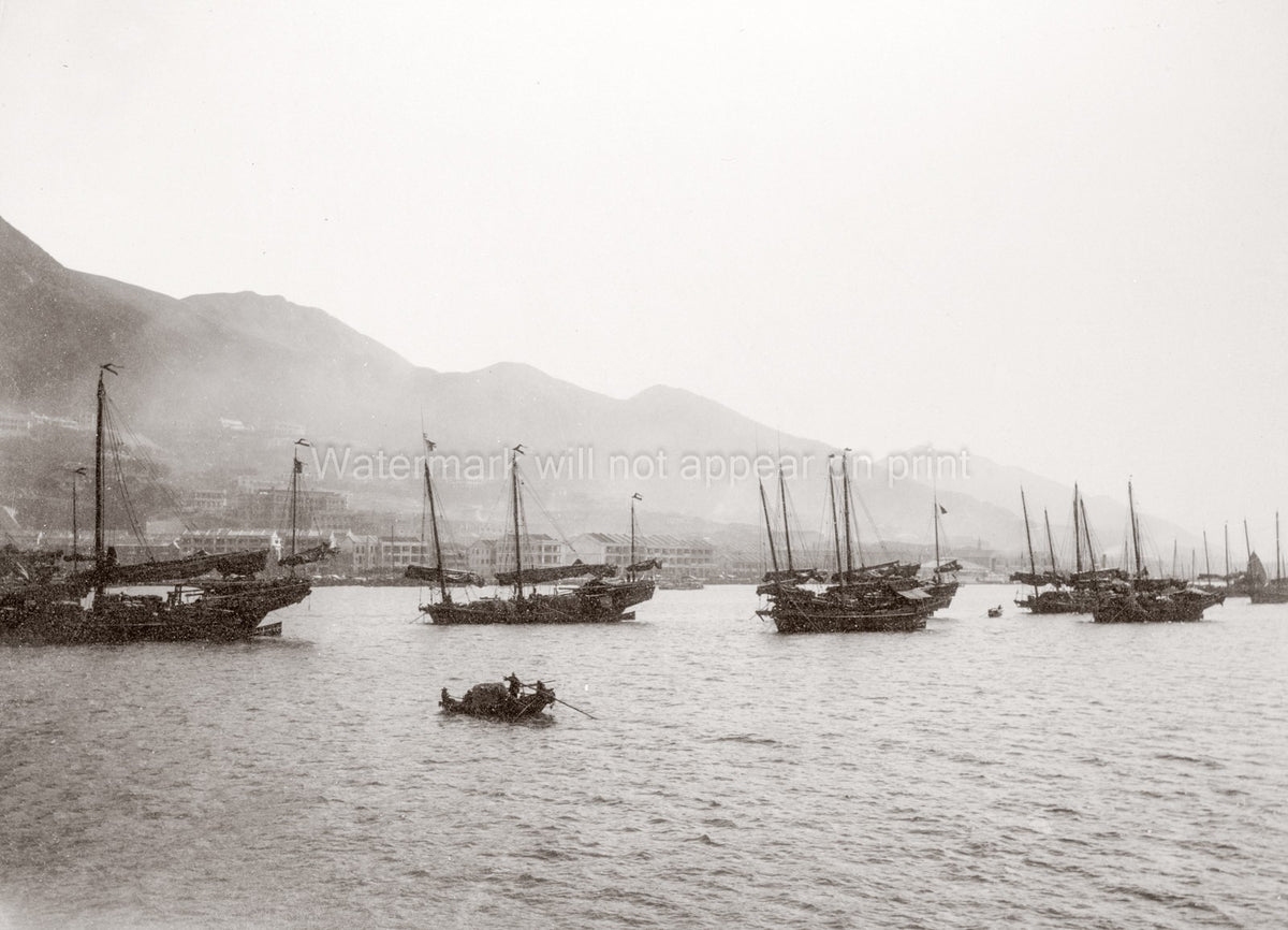 Hong Kong Harbour China Boats Junks Sampan Seascape Vtg. Photo 19thC.