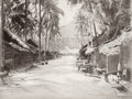 Ceylon Sri Lanka Street Scene Village Huts Palm Trees Tropical Vtg. Photo 19thC.