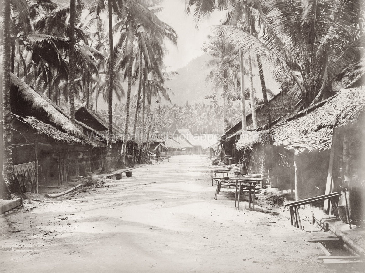 Ceylon Sri Lanka Street Scene Village Huts Palm Trees Tropical Vtg. Photo 19thC.