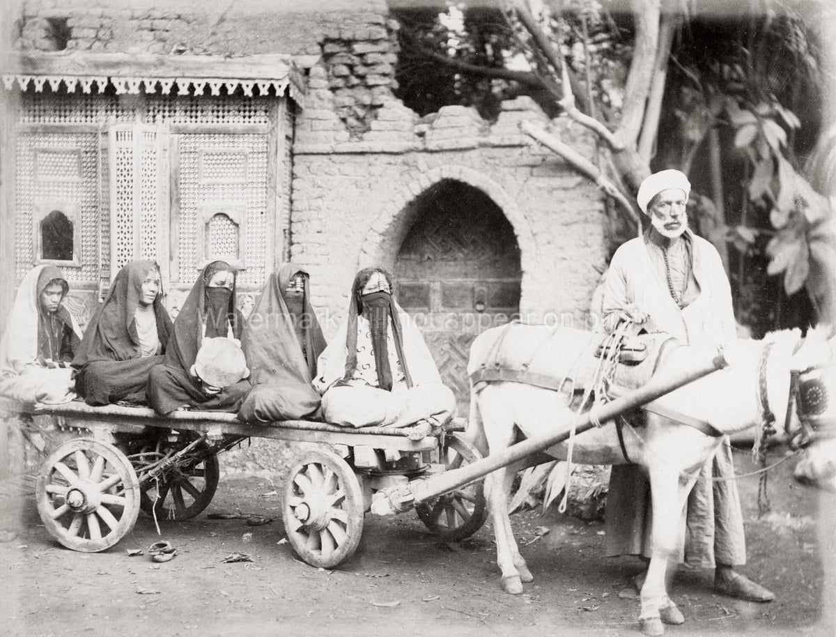 Cairo Egypt Egyptian Women Donkey Cart Veiled Turban Street Vtg. Photo 19thC.