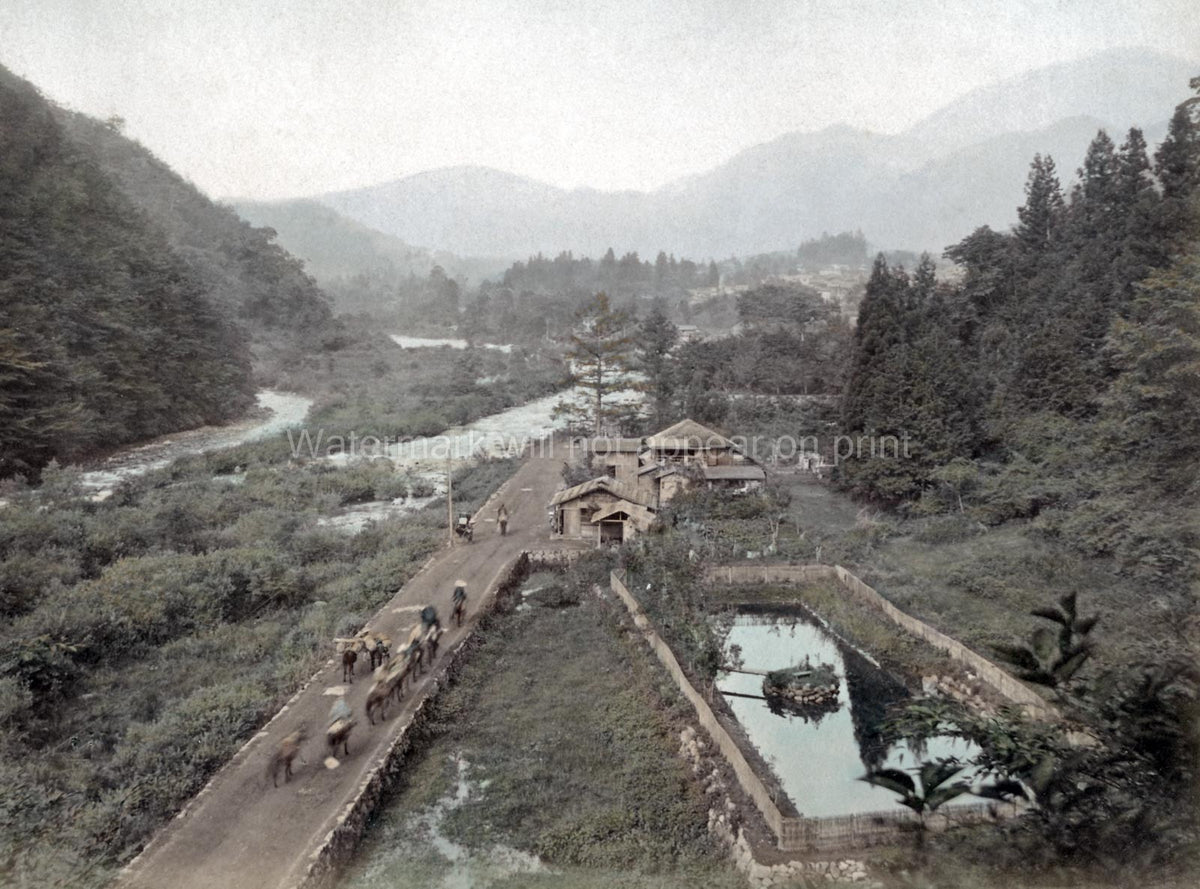 Daya River Road To Lake Chuzenji Japan Mountain Landscape Vtg. Photo 19thC.