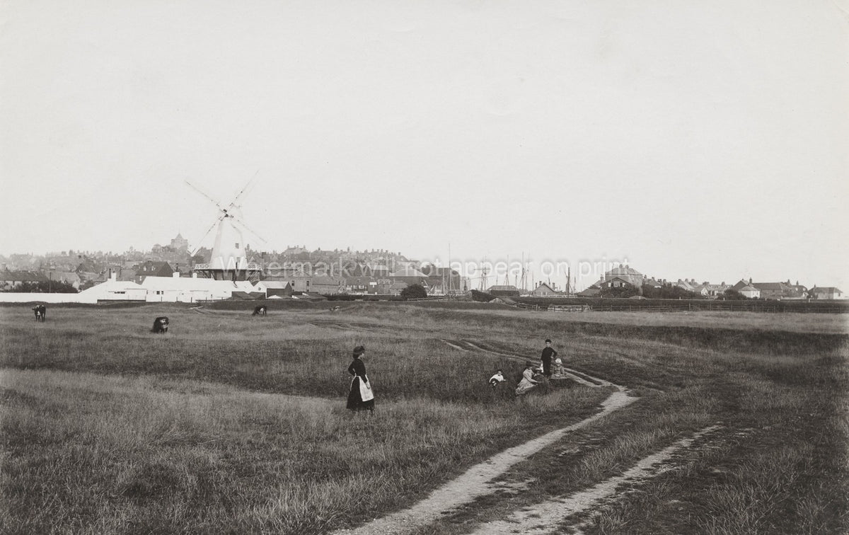 Gibbet Marsh East Sussex Windmill Town Harbor Cows Landscape Vtg. Photo 19thC.
