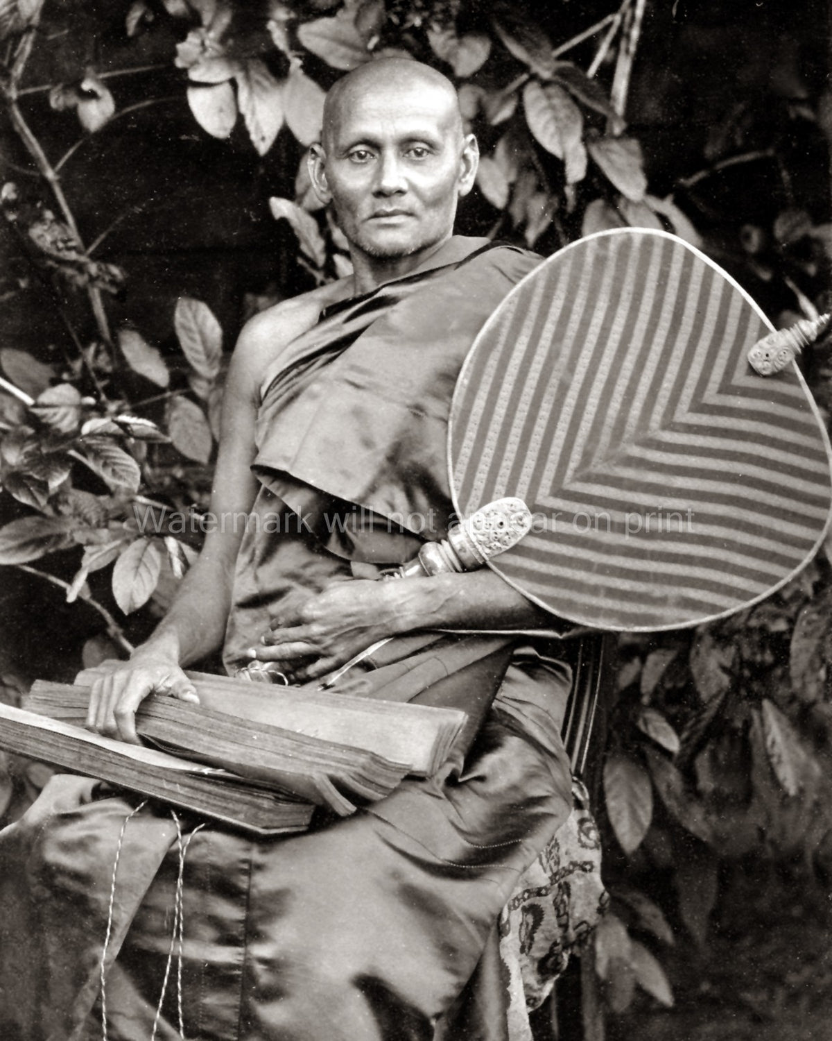 Buddhist Monk Ceylon Sri Lanka Portrait Robes Fan Manuscript Vtg. Photo 19thC.
