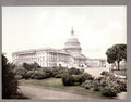 USA Capitol Building Washington DC Neoclassical Architecture Vtg. Photo 19thC.