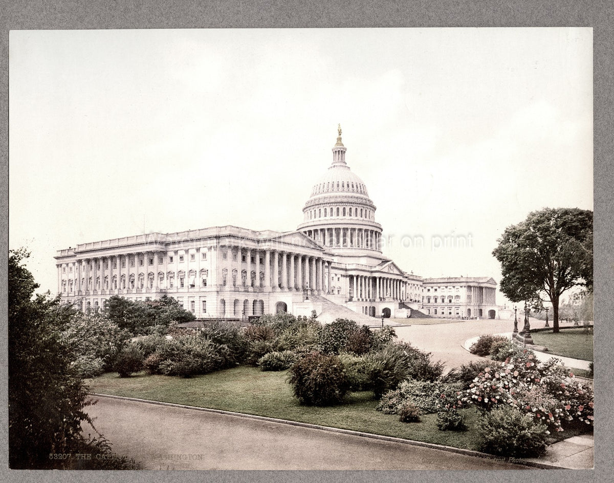 USA Capitol Building Washington DC Neoclassical Architecture Vtg. Photo 19thC.