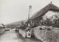 West Porlock Somerset Cottage Thatched Roof Rural Village Life Vtg. Photo 19thC.