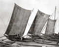 Traditional Fishing Boats India Outrigger Canoes Fishermen Vtg. Photo 19thC.