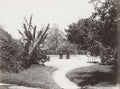 Kingston Jamaica Square Park Fountain People West Indies Vtg. Photo 19thC.