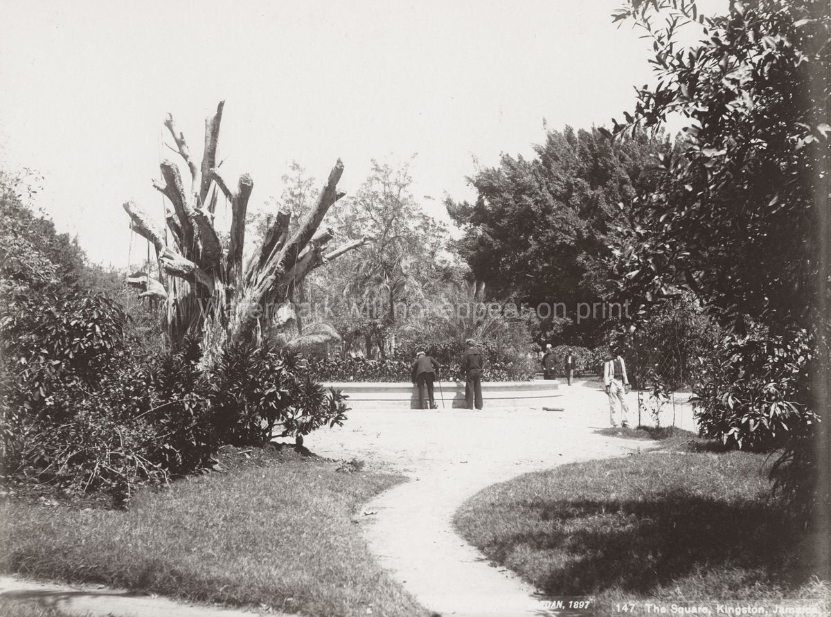 Kingston Jamaica Square Park Fountain People West Indies Vtg. Photo 19thC.