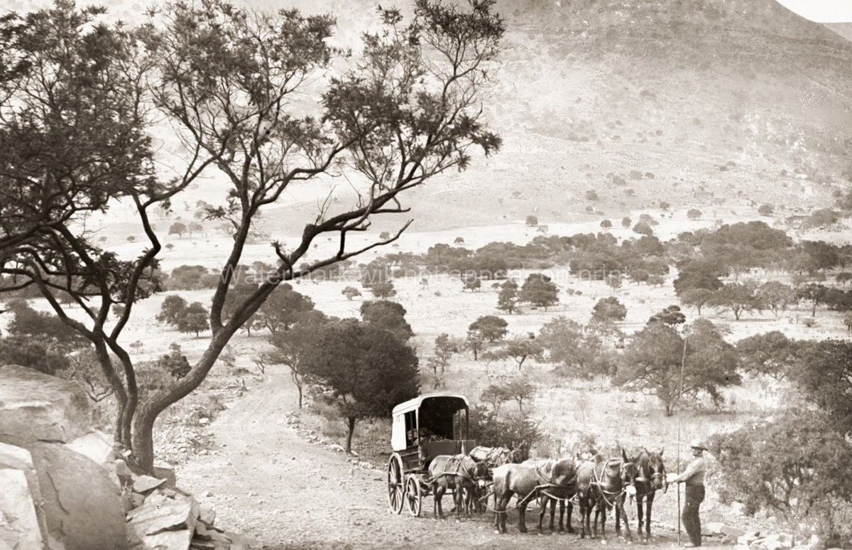 South Africa Road Barberton Little Hell Elandsberg Carriage Vtg. Photo 19thC.