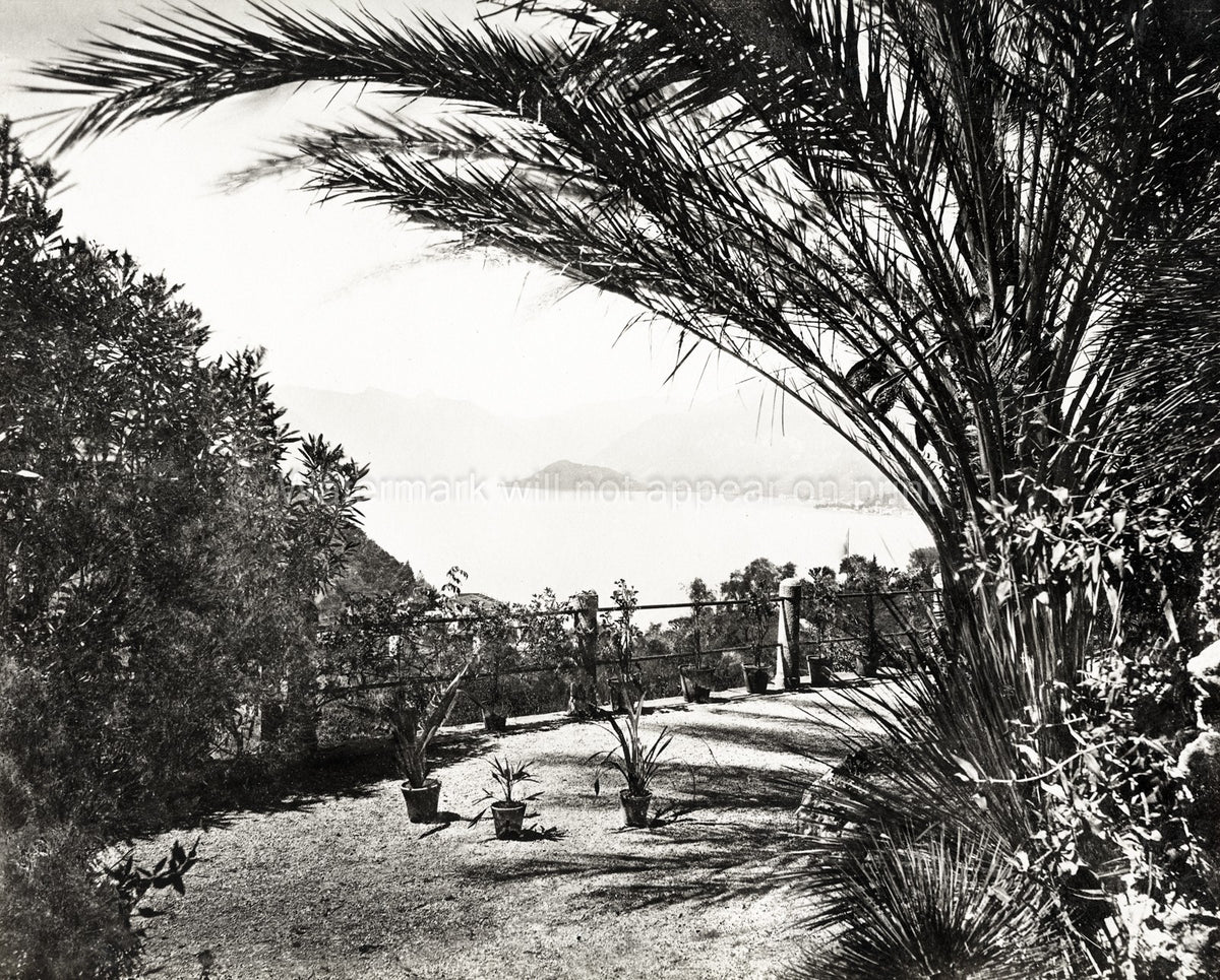 Lake Como Villa Serbelloni Italy Garden Palm Tree View Vtg. Photo 19thC.