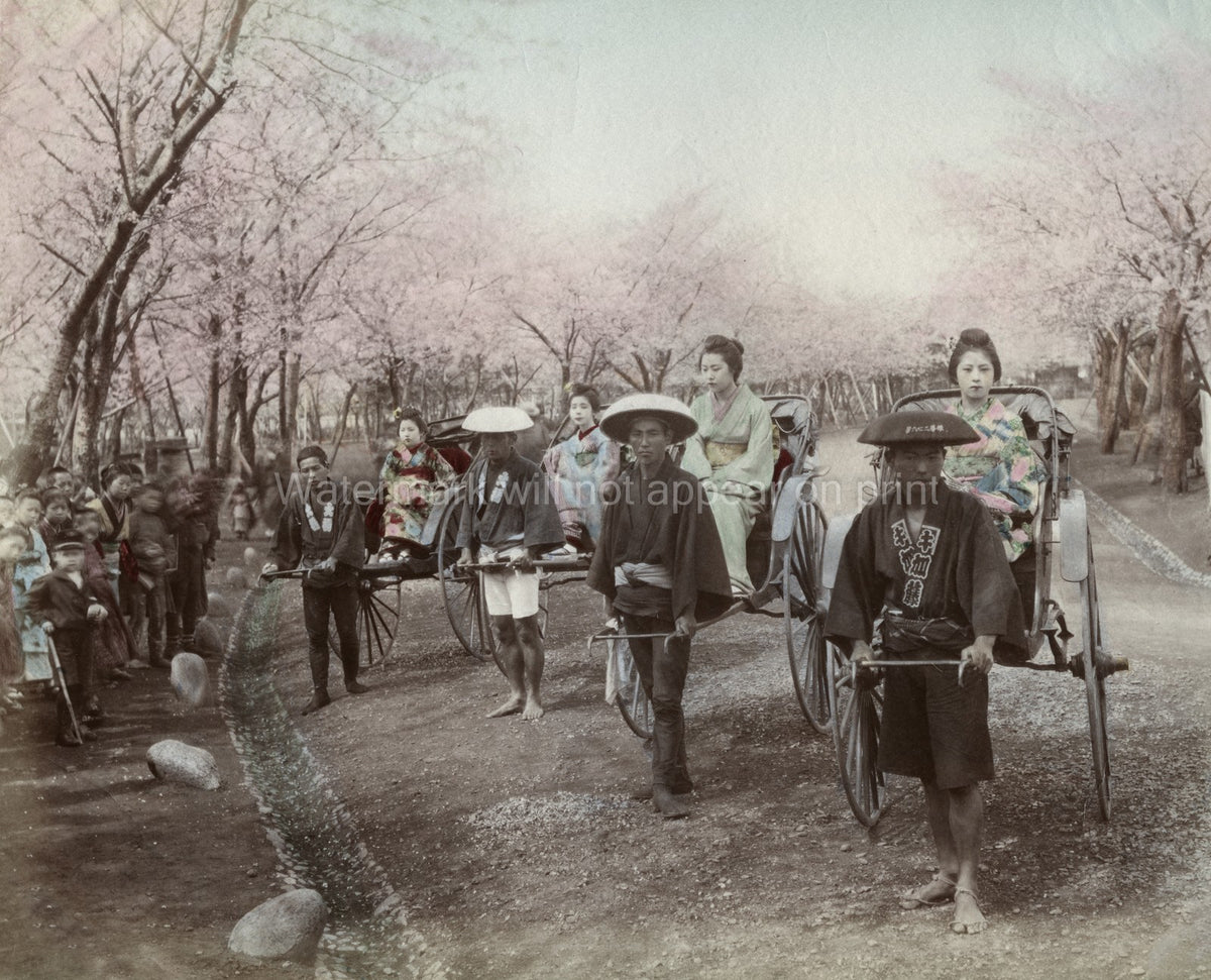 Japanese Park Geishas Rickshaws Cherry Blossoms Kimono Vtg. Photo 19thC.