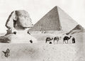 Egypt Giza Sphinx Great PyraCamels Desert People Landmark Vtg. Photo 19thC.