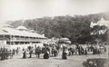 Sydney Chowder Bay Elephant Spectators Pavilion Crowd Vtg. Photo 19thC.