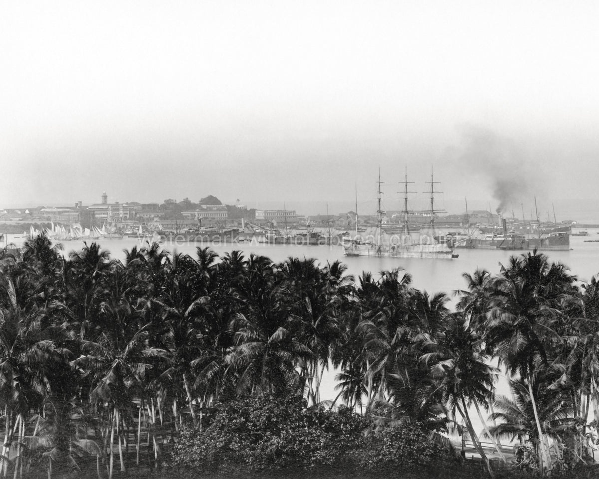 Colombo Harbour Ceylon Sri Lanka Port Skyline Sailing Ships Vtg. Photo 19thC.