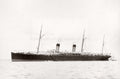 White Star Line RMS Teutonic Spithead Ocean Liner Steamship Vtg. Photo 19thC.