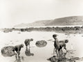 Runswick Bay Yorkshire Children Sailing Toy Boats Sea Coast Vtg. Photo 19thC.