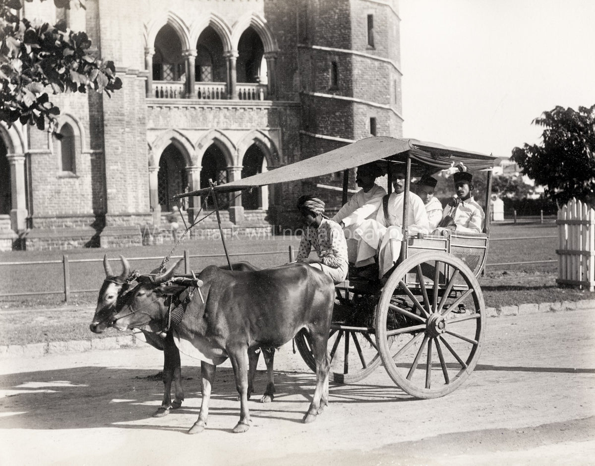 Men Oxen Drawn Gharry Carriage Colonial India Street Scene Vtg. Photo 19thC.
